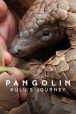 Nonton film Pangolin: Kulu’s Journey (2025) sub indo