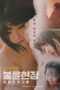 Nonton film Killer Affair Scene: Top Tier Women (2025) sub indo