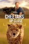 Nonton film Cheetahs Up Close with Bertie Gregory (2025) sub indo