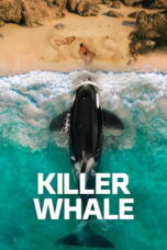 Nonton film Killer Whale (2026) sub indo