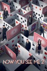 Nonton film Now You See Me 2 (2016) sub indo
