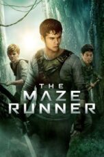 Nonton film The Maze Runner (2014) sub indo