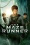 Nonton film The Maze Runner (2014) sub indo