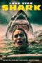 Nonton film Lone Star Shark (2025) sub indo